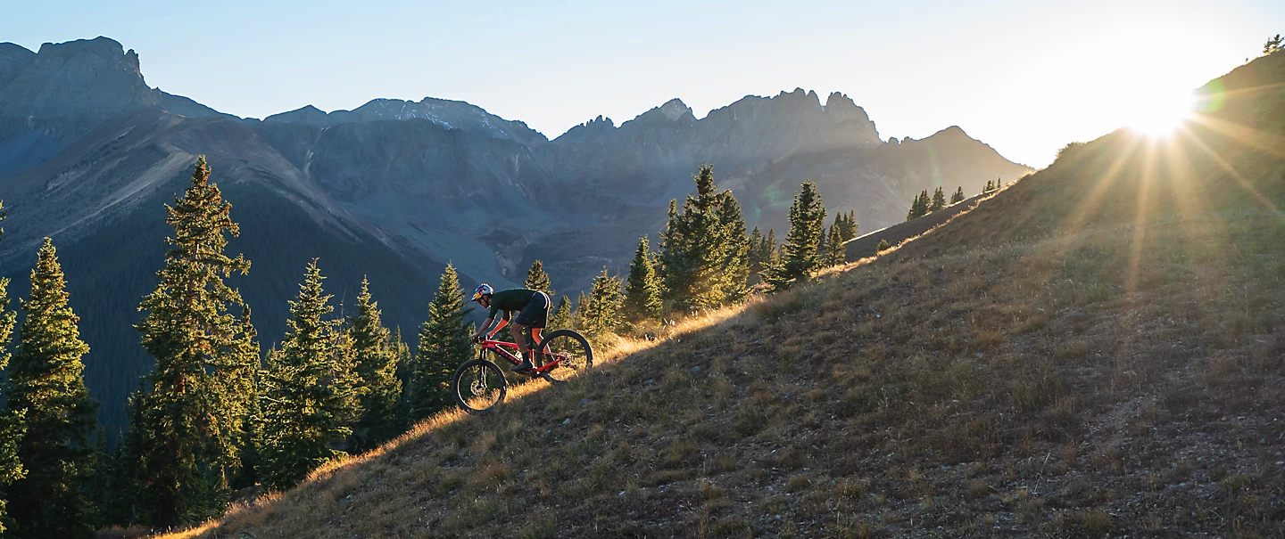Trek E-Caliber?>