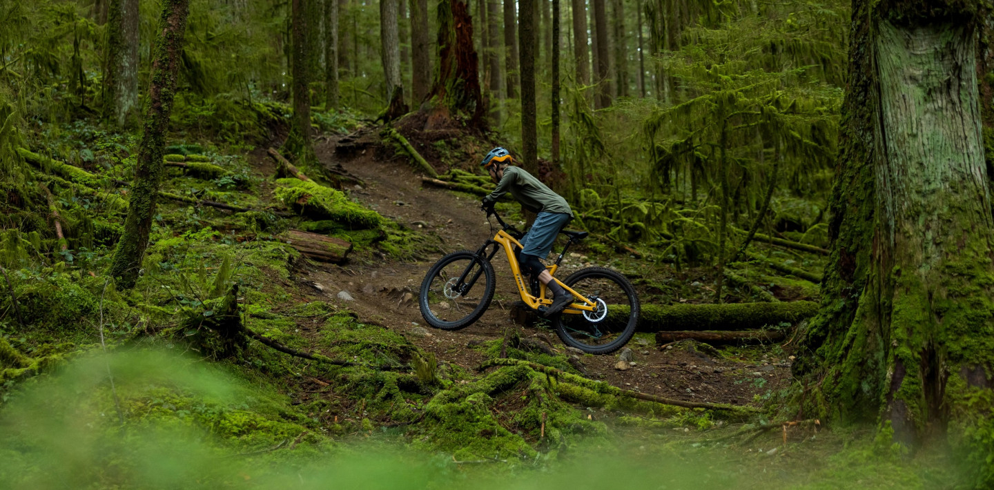 Trek Fuel EXe?>
