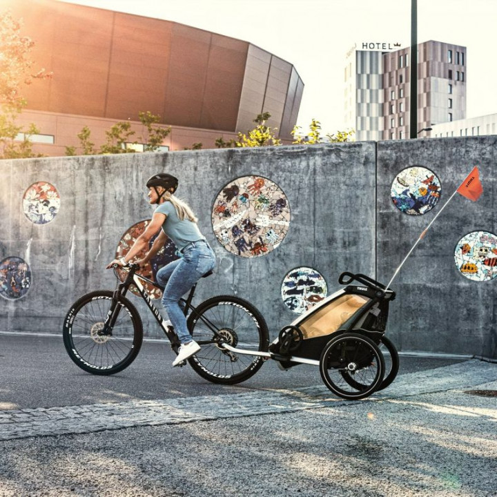 Thule Chariot Lite Enkel Fietskar Broekhuis
