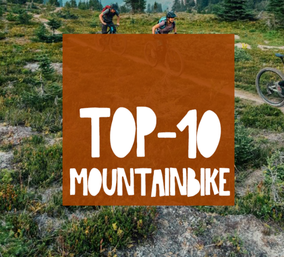De beste mountainbikes van 2023 | Top 10 bij Broekhuis Fietsen