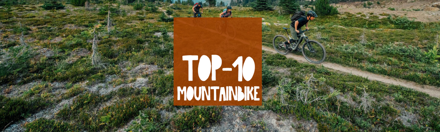 De beste mountainbikes van 2023 | Top 10 bij Broekhuis Fietsen