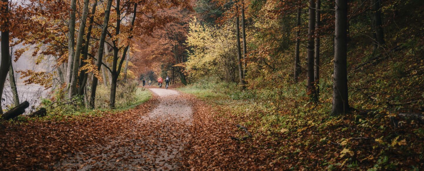 Dit zijn de beste tips om plezierig te fietsen in herfst