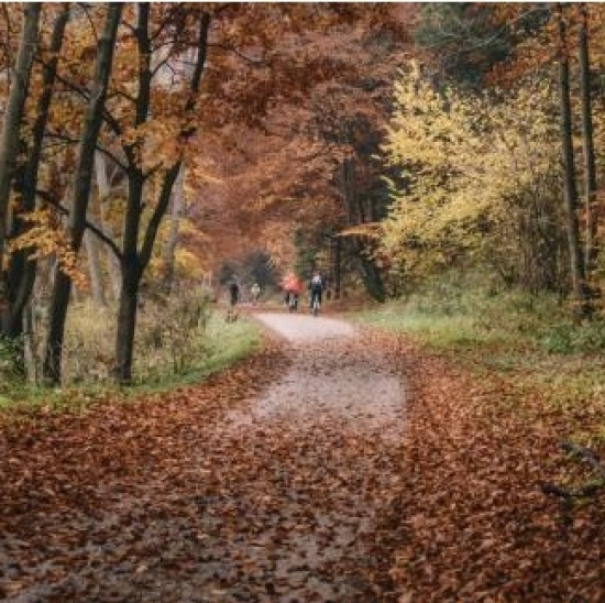 Dit zijn de beste tips om plezierig te fietsen in herfst?>