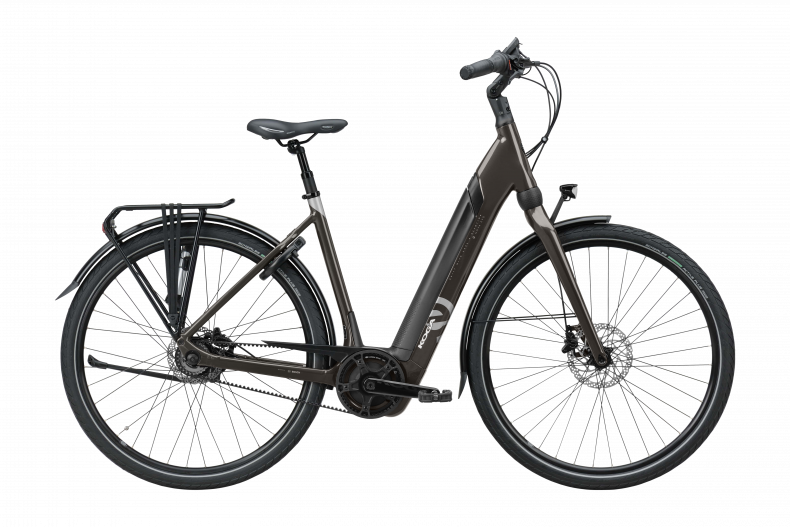 Evo eco 2025 electric bike