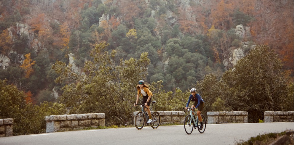 Cannondale Synapse ideaal voor in de herfst