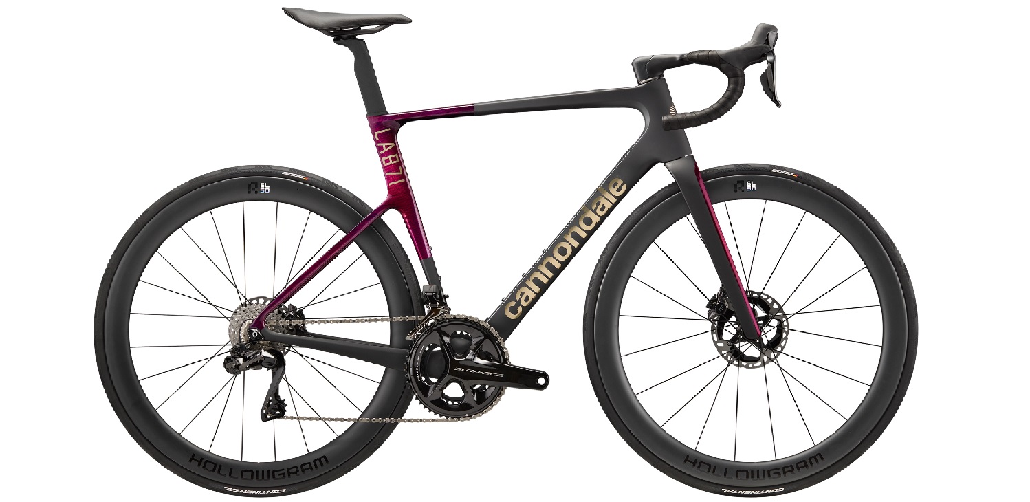 Cannondale SuperSix EVO LAB71 Marble Oxblood productafbeelding