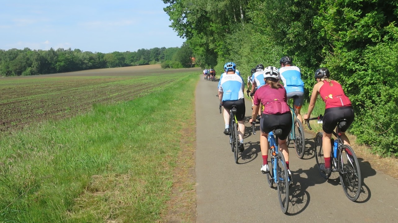 Toertocht racefiets groepsrit langs weiland en bos