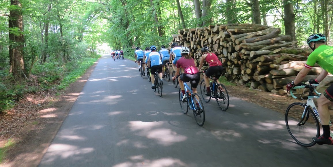 Toertocht racefiets lente binnenweg langs boomstronken