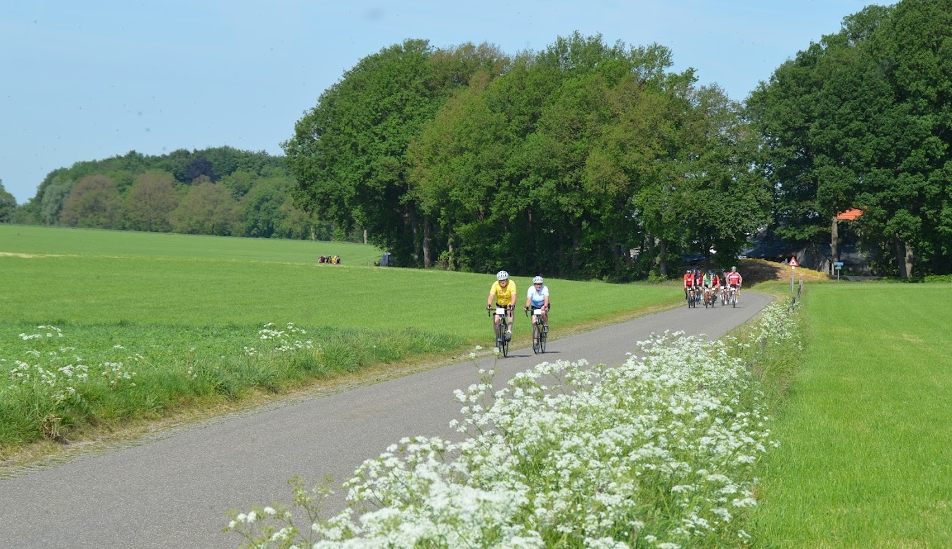 Toertocht racefiets bloemen berm landschappelijk